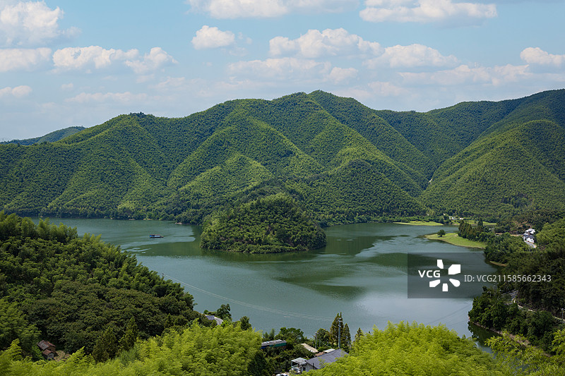 浙江安吉小阿勒泰图片素材