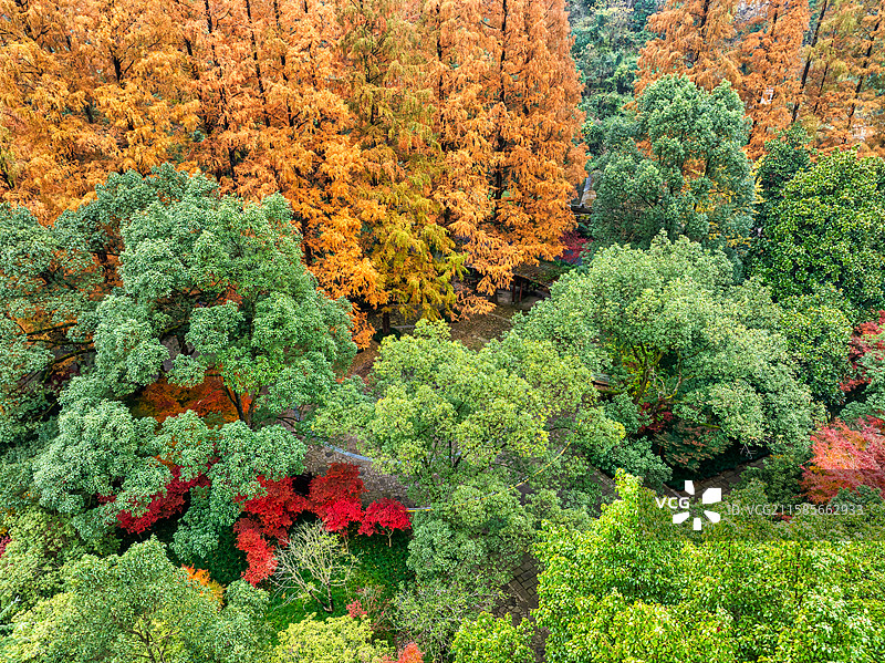 诸暨五泄景区秋天多彩树林美景俯瞰图片素材