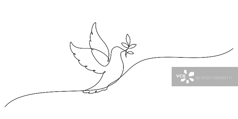 一笔画的白鸽与橄榄枝图片素材