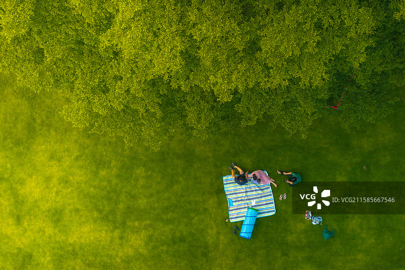 航拍广州市黄埔公园草地上休闲的一家人图片素材