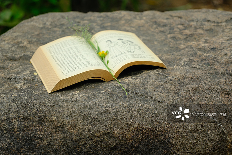 石头上一本野花野草陪伴着的英文书特写。高清背景图设计素材图片素材