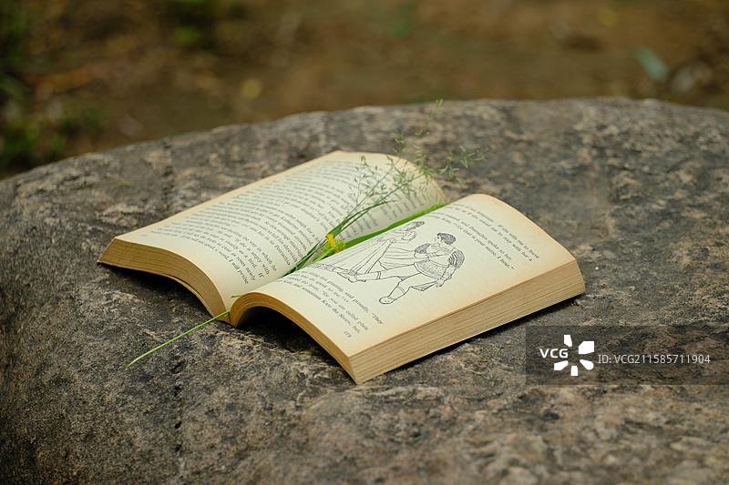 石头上一本野花野草陪伴着的英文书特写。高清背景图设计素材图片素材