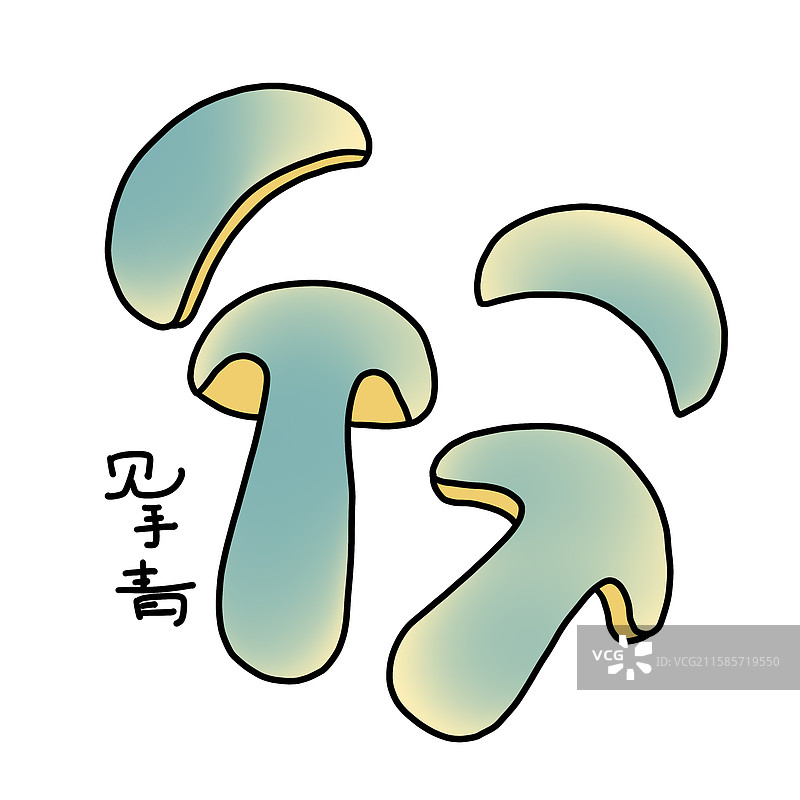 见手青切片图片素材