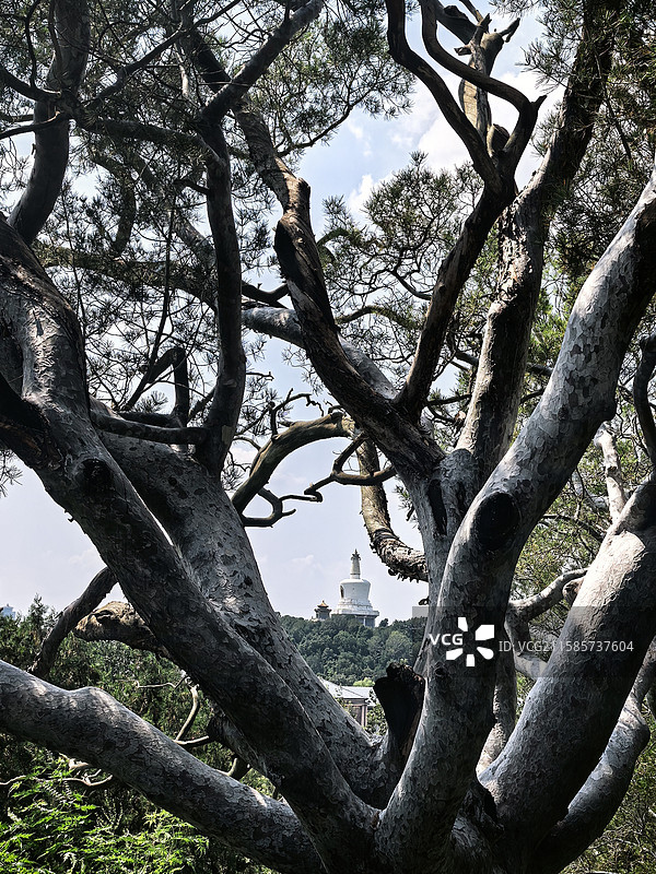 景山公园随拍印象图片素材