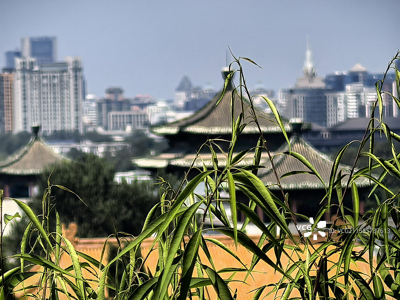 景山公园随拍印象图片素材