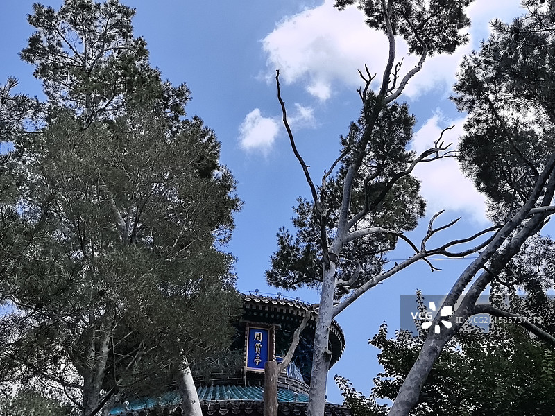 景山公园随拍印象图片素材