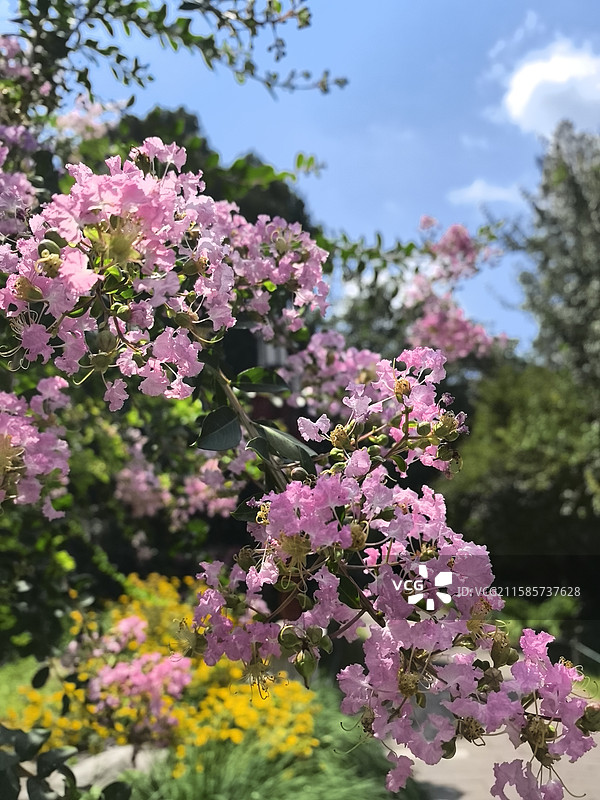 景山公园随拍印象图片素材