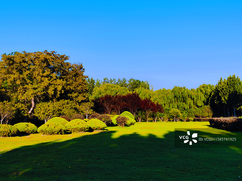 《阳光明媚》图片素材