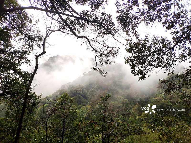 贺州姑婆山景区的雾图片素材