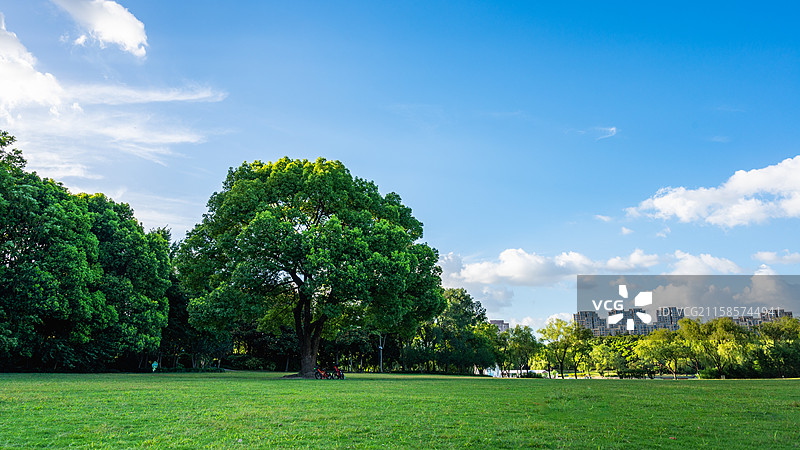 上海汽车博览公园蓝天白云青草地图片素材