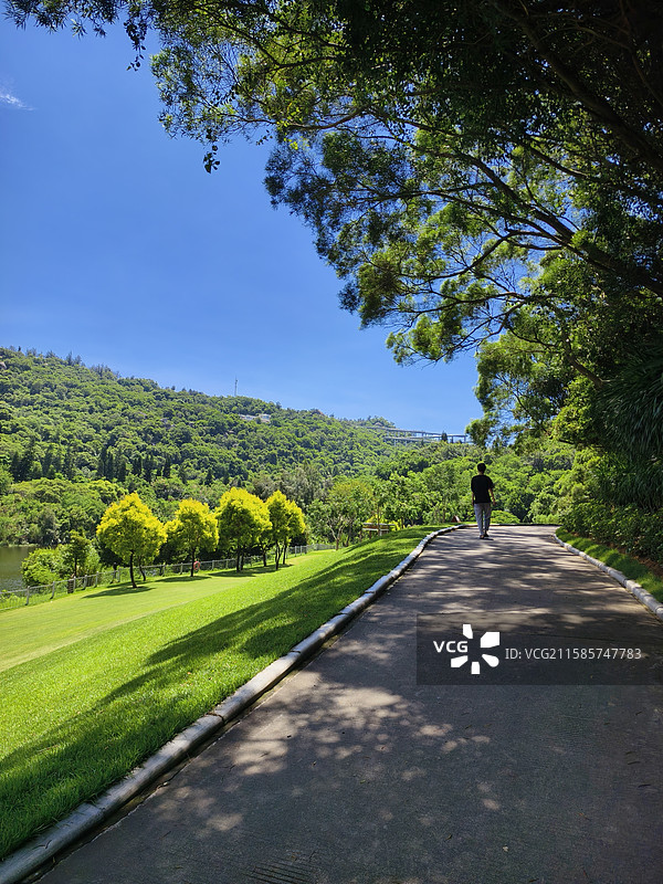 厦门上李水库公园图片素材