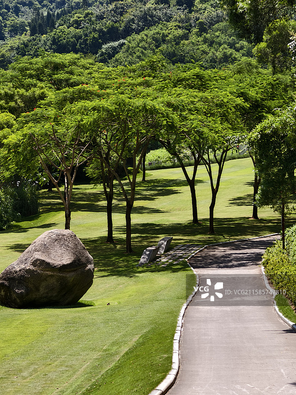 厦门上李水库公园大片绿草地图片素材