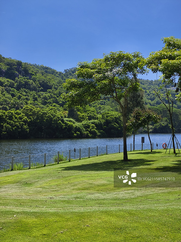 厦门上李水库公园大片绿草地图片素材