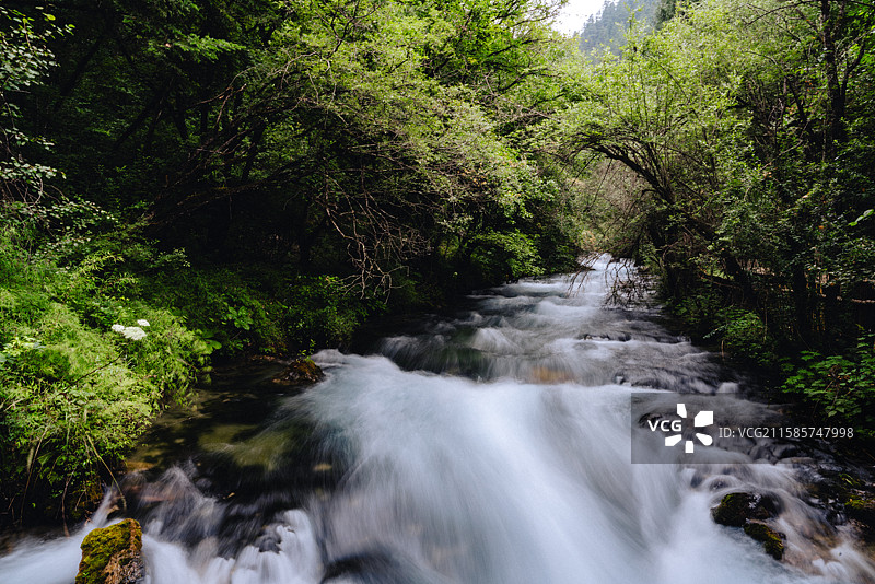 四川阿坝九寨沟景区图片素材