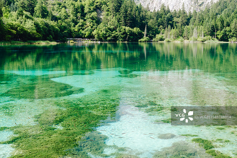 四川阿坝九寨沟景区图片素材