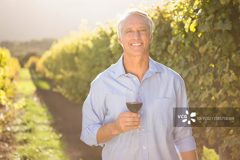 一位老年男子站在阳光明媚的葡萄藤间，手中举着一杯红酒，沐浴在温暖的阳光下。图片素材