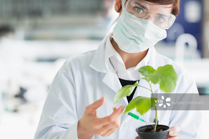 穿着实验室外套、安全护目镜和手术口罩的女性科学家在实验室中检查植物叶子图片素材