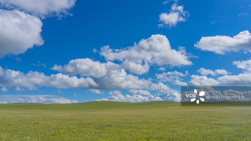 内蒙古东乌珠穆沁旗-风吹草地图片素材