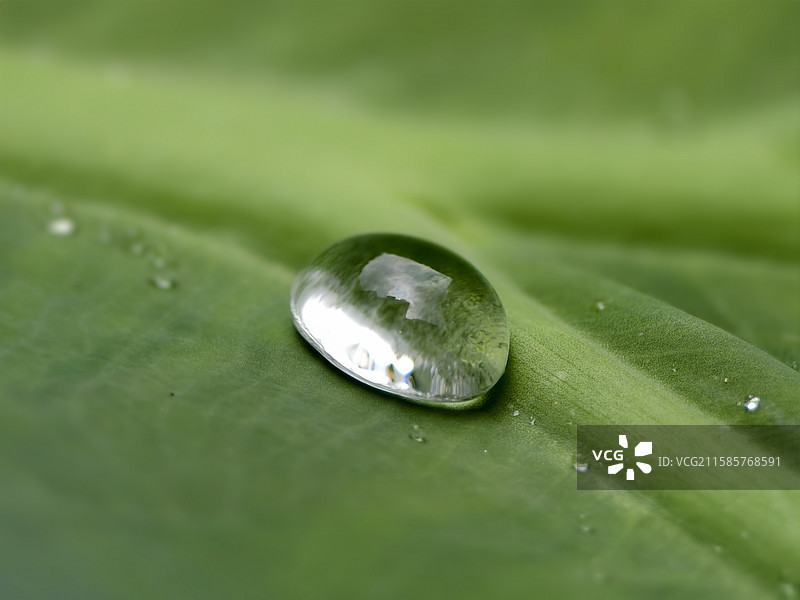 小水珠图片素材