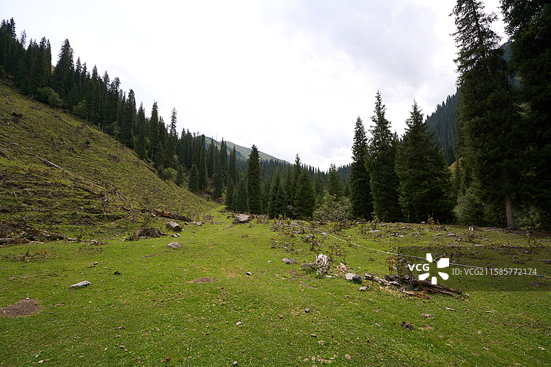 新疆自然原始未经开发的老鹰湖景区图片素材
