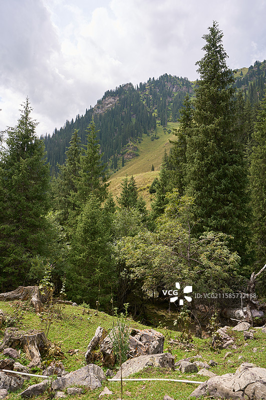 新疆自然原始未经开发的老鹰湖景区图片素材