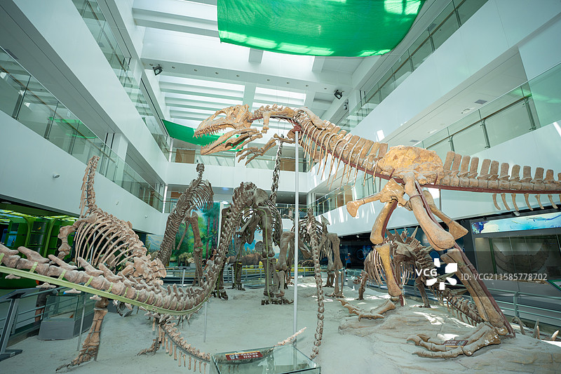 中国地质大学逸夫博物馆图片素材