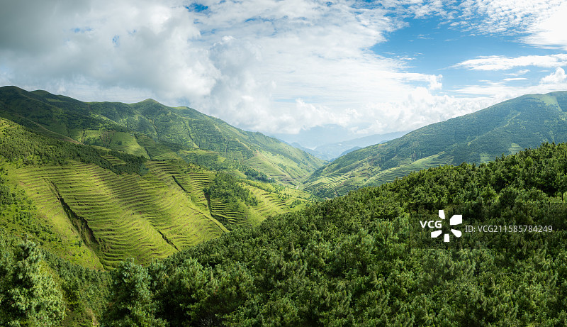 云南曲靖会泽县大海草山图片素材
