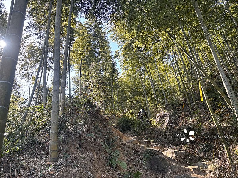 冬季 杭州 余杭 鸬鸟山 游玩 旅游 徒步旅行 风景图片素材