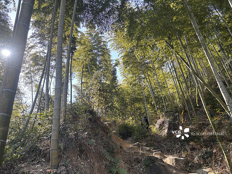 冬季 杭州 余杭 鸬鸟山 游玩 旅游 徒步旅行 风景图片素材