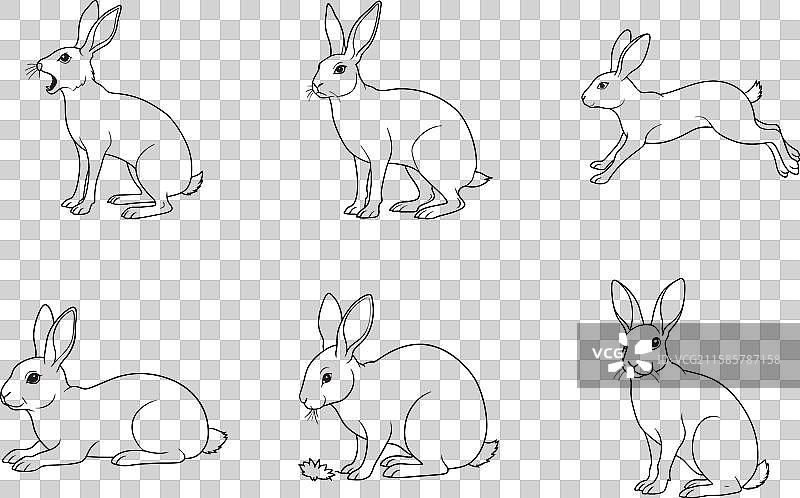 终极兔子线条艺术套件图片素材