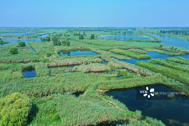 七彩流霞染碧塘，炊烟袅袅稻禾香  轻舟剪浪惊鸥远，锦鲤摇莲伴鹭翔  万顷芙蓉迎客笑，一川烟水醉心房图片素材