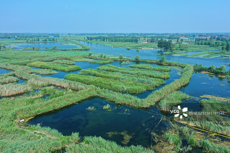 七彩流霞染碧塘，炊烟袅袅稻禾香  轻舟剪浪惊鸥远，锦鲤摇莲伴鹭翔  万顷芙蓉迎客笑，一川烟水醉心房图片素材
