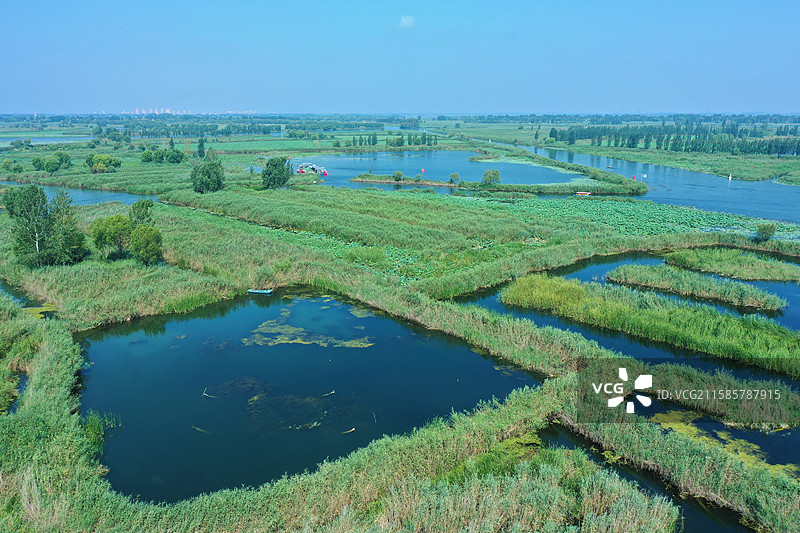 七彩流霞染碧塘，炊烟袅袅稻禾香  轻舟剪浪惊鸥远，锦鲤摇莲伴鹭翔  万顷芙蓉迎客笑，一川烟水醉心房图片素材