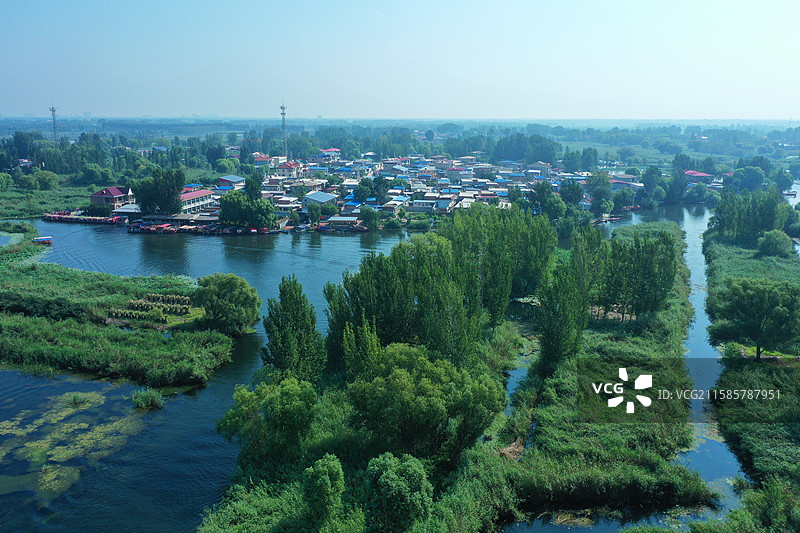 七彩流霞染碧塘，炊烟袅袅稻禾香  轻舟剪浪惊鸥远，锦鲤摇莲伴鹭翔  万顷芙蓉迎客笑，一川烟水醉心房图片素材
