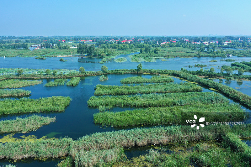七彩流霞染碧塘，炊烟袅袅稻禾香  轻舟剪浪惊鸥远，锦鲤摇莲伴鹭翔  万顷芙蓉迎客笑，一川烟水醉心房图片素材