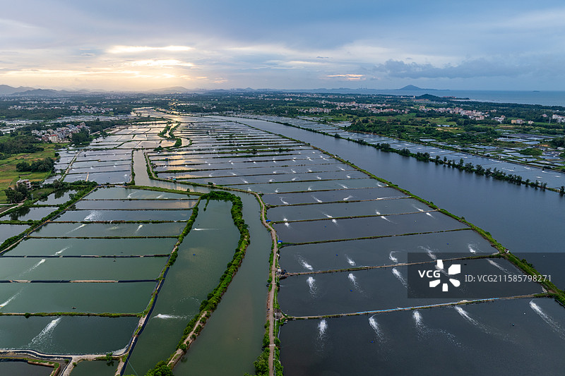 广东茂名电白沿海海水养殖场风光图片素材