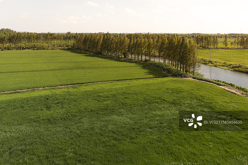 秋季田园风光风景图片素材