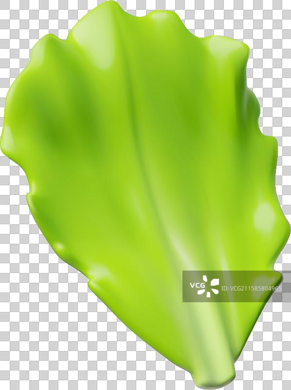 三维绿色生菜叶子图片素材