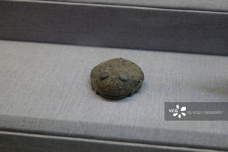 蟾蜍 夏代(公元前21世纪-前1600年)偃师二里头遗址出土洛阳博物馆藏图片素材