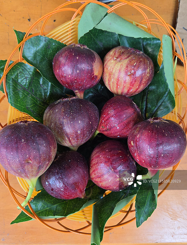 新鲜的无花果图片素材