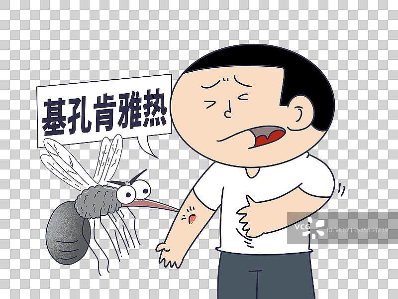 基孔肯雅热疾病图片素材