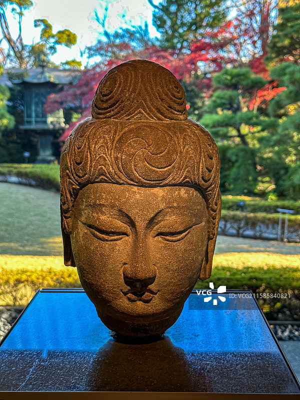 北齐 如来坐像头部 天龙山石窟第18窟 根津美术馆图片素材