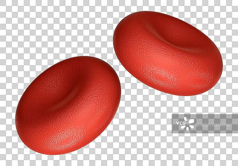 3D立体元素血管人体解刨血小板血液图片素材