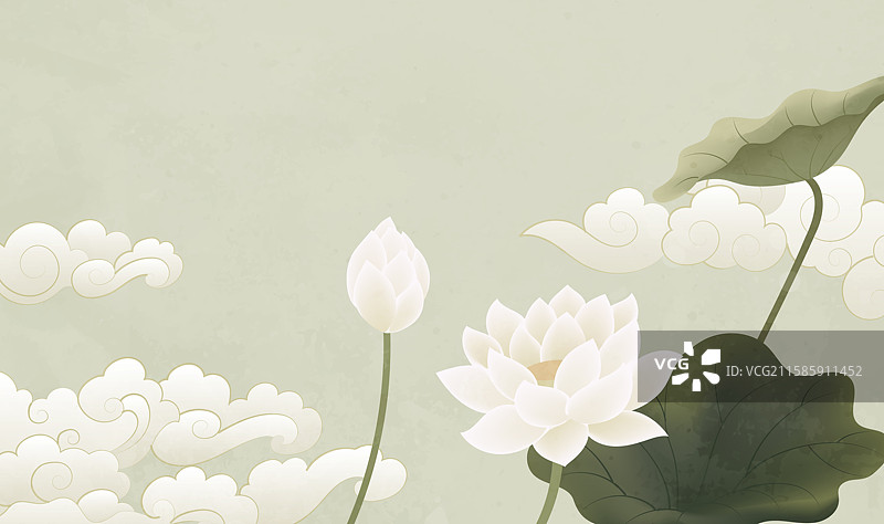 复古中国风插图荷花和荷叶图片素材