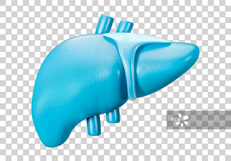 3D立体元素渲染肝脏内脏器官图片素材