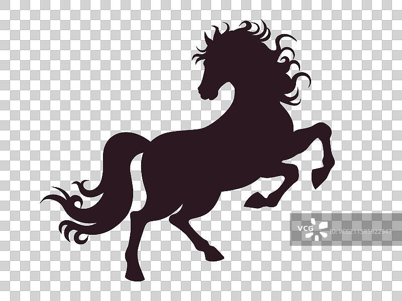 剪影风格马图片素材