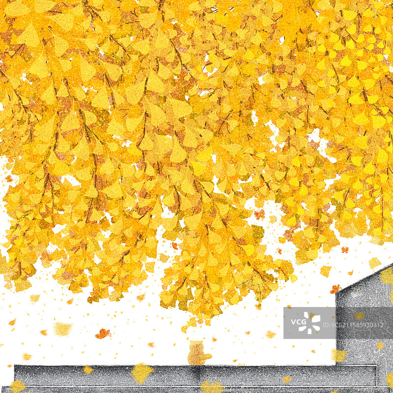 秋天银杏漫天图片素材