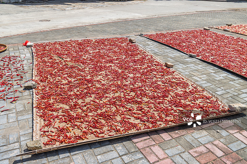 上高县晾晒丰收的辣椒图片素材