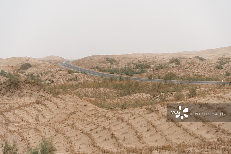 新疆塔格拉玛干沙漠内风景一角图片素材