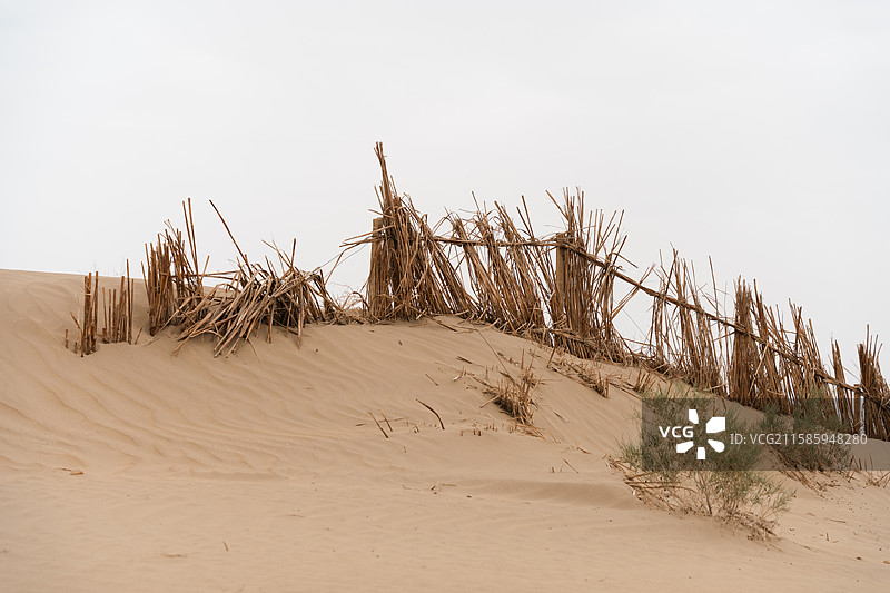 新疆塔格拉玛干沙漠内风景一角图片素材